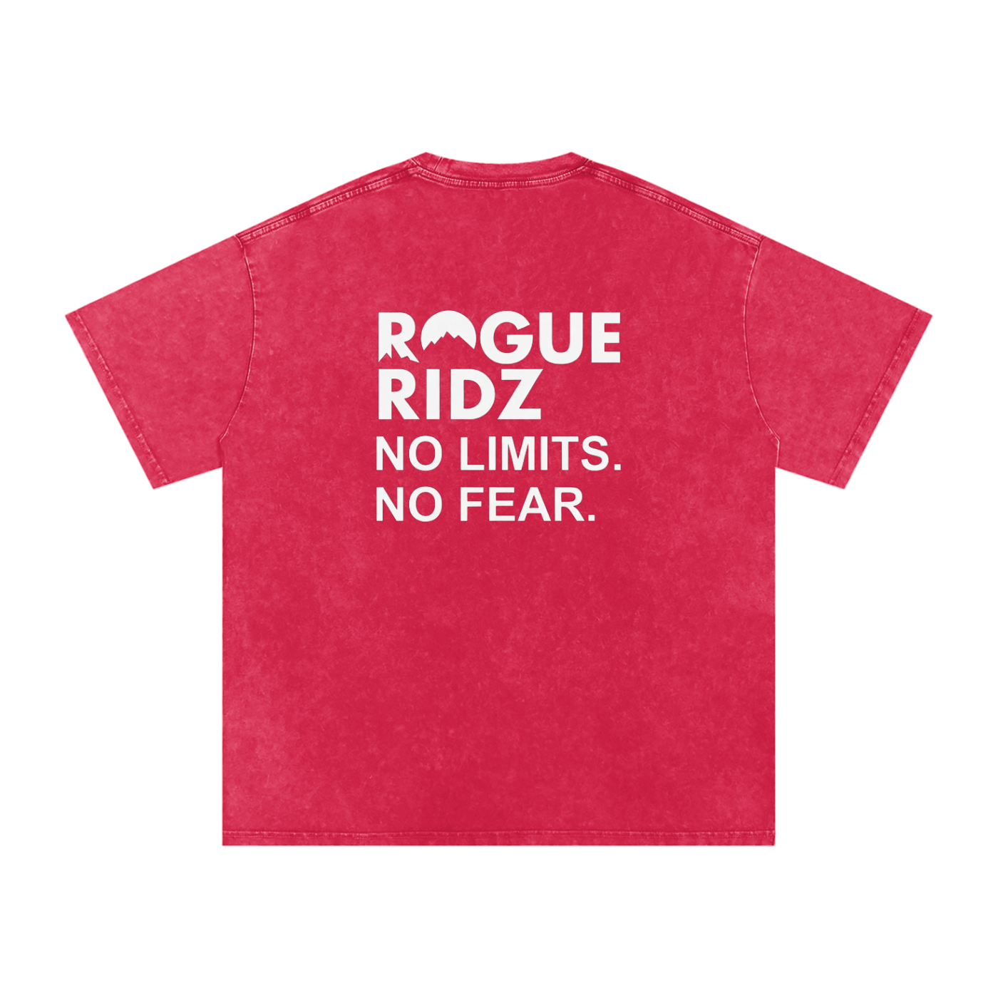 Snow Washed "No Limits, No Fear" T-Shirt