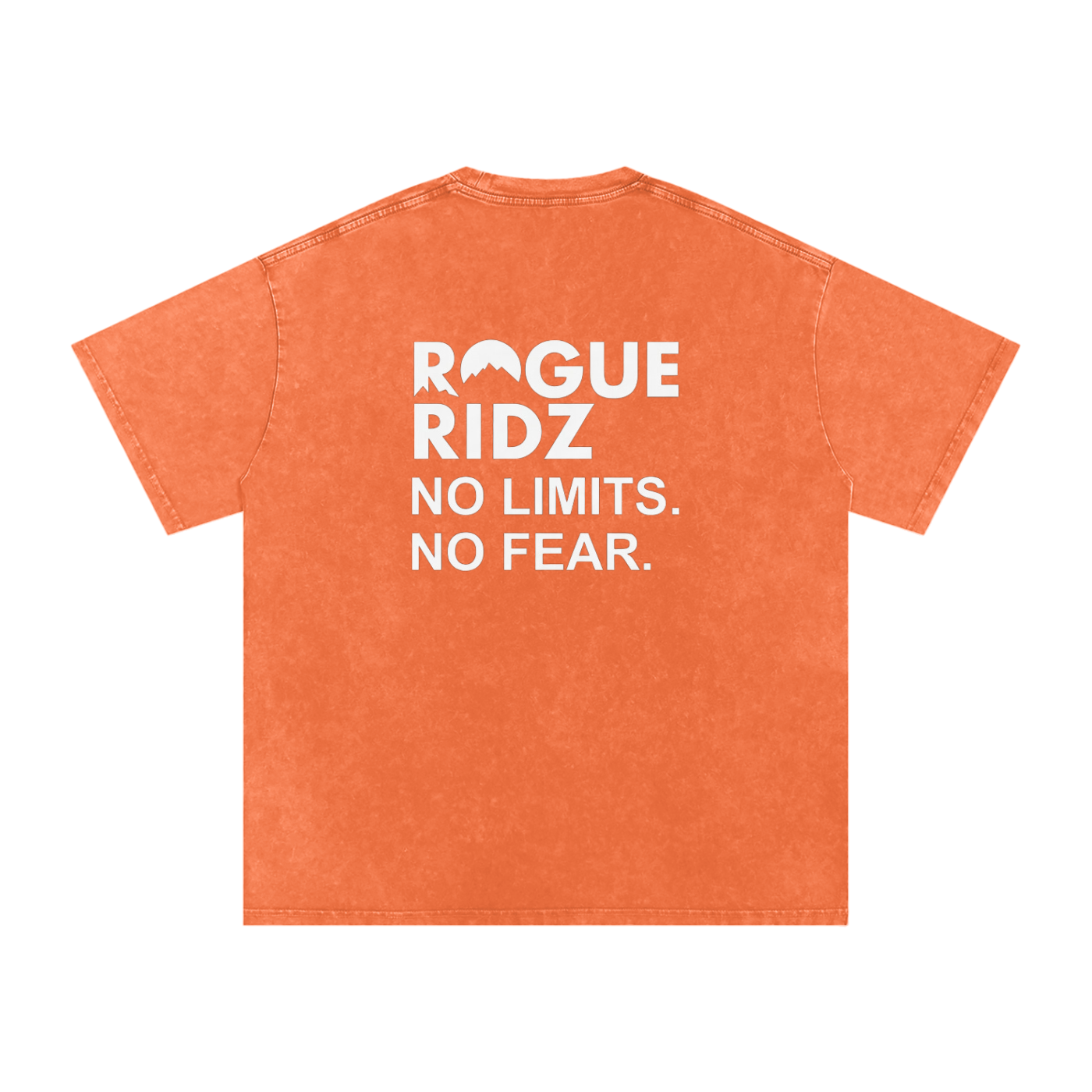 Snow Washed "No Limits, No Fear" T-Shirt