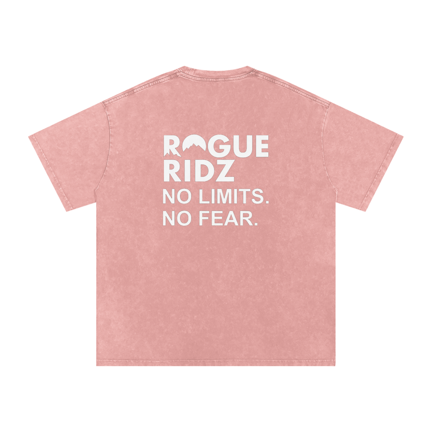 Snow Washed "No Limits, No Fear" T-Shirt